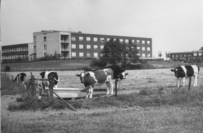 ca. 1967